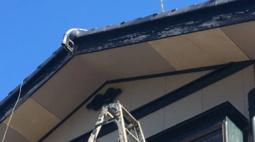 キツツキの穴補修後の軒天