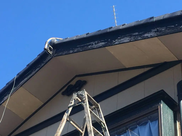 キツツキの穴補修後の軒天