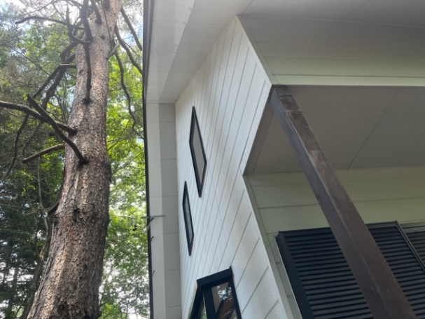 キツツキの穴の全面補修が完了した軒下