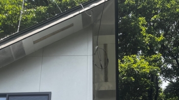 キツツキによる穴あけ補修