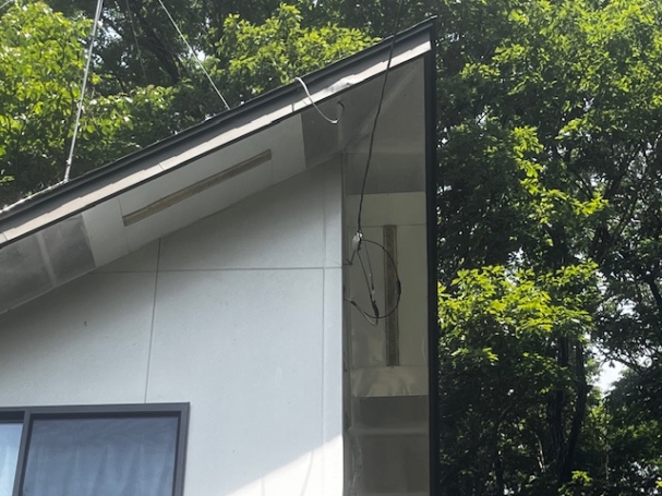 キツツキによる穴あけ補修